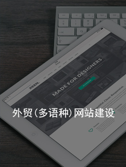 惠州外贸(多语种)网站建设