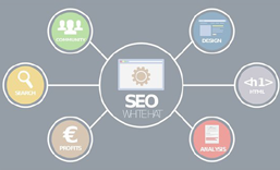 网站SEO 优化  推广